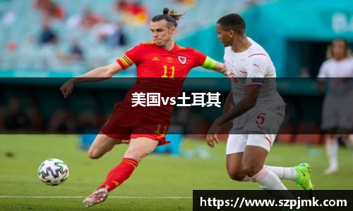 美国vs土耳其