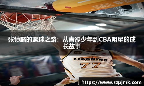 张镇麟的篮球之路：从青涩少年到CBA明星的成长故事